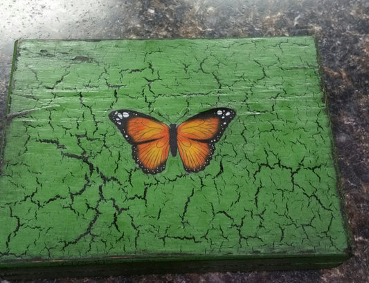 Green Essential Oil Box with Orange Butterfly, Oil Safe, Wooden Box