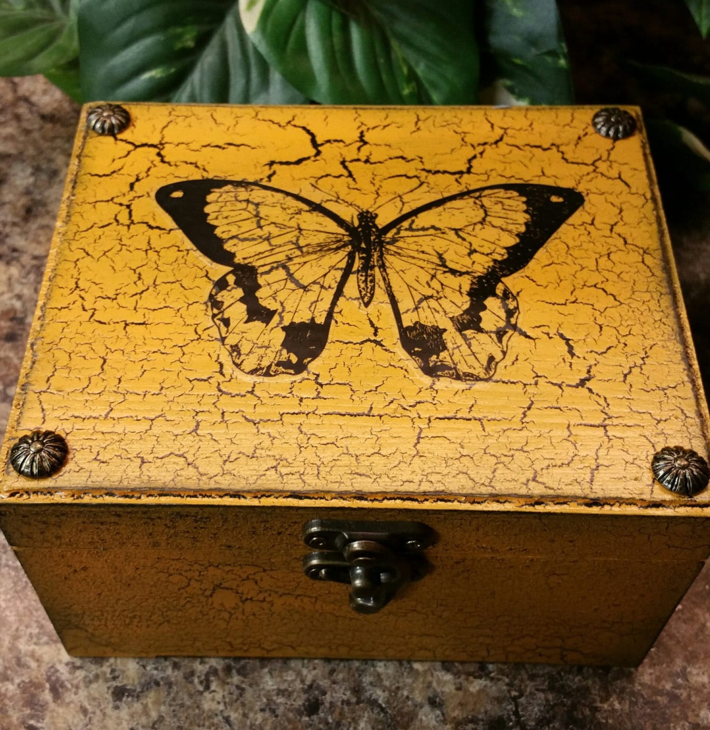 Distressed Butterfly Photo Box, Memory Box, Trinket Box, photo storage, Travel box, Vacation Box, Essential oil Box, One of a Kind